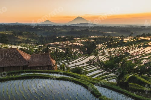 Preview: Famous Bali landmark Jatiluwih rice terraces. Beautiful sunrise view of green hills and mount