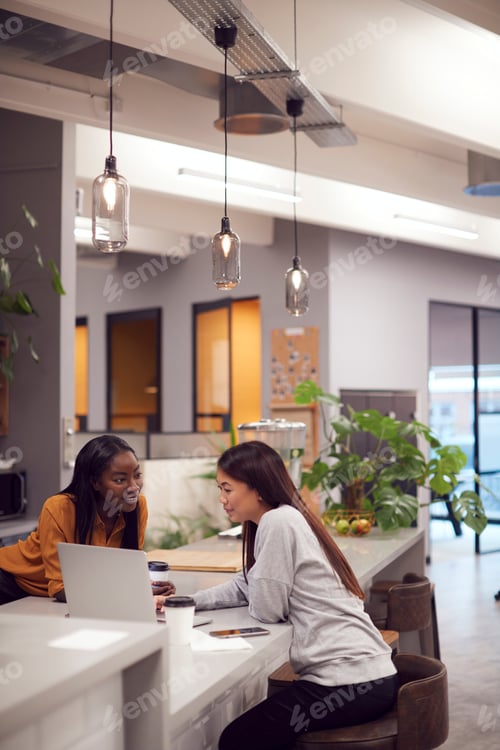 Preview: Two Young Businesswomen Working On Laptop In Kitchen Area Of Modern Office