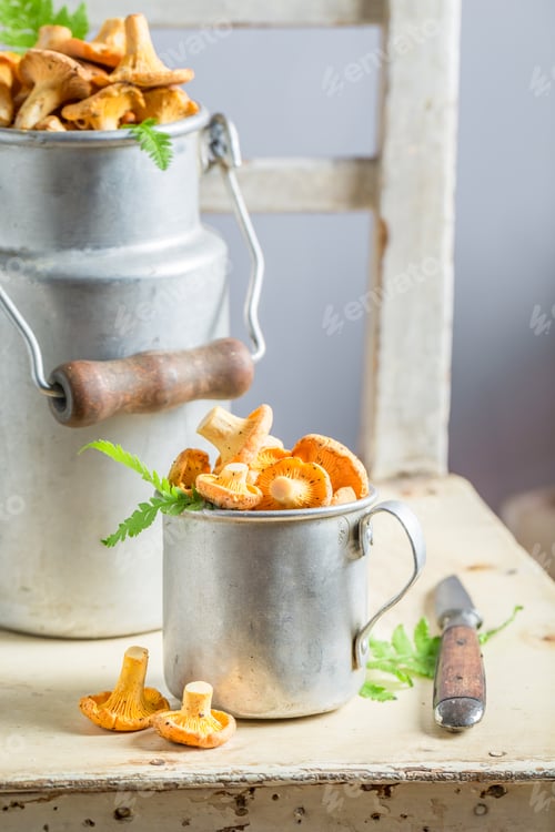 Preview: Raw mushrooms freshly harvested from the forest