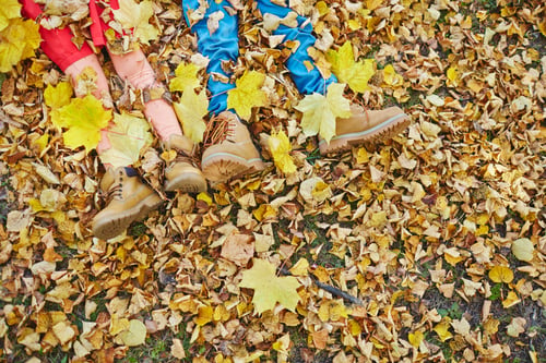 Preview: Lying on leaves