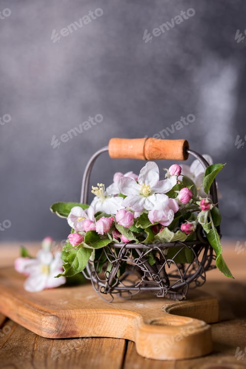Preview: branches of a blossoming apple-tree