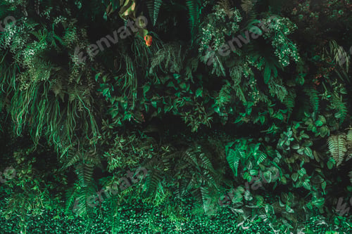 Preview: Herb wall, plant wall, natural green wallpaper and background.