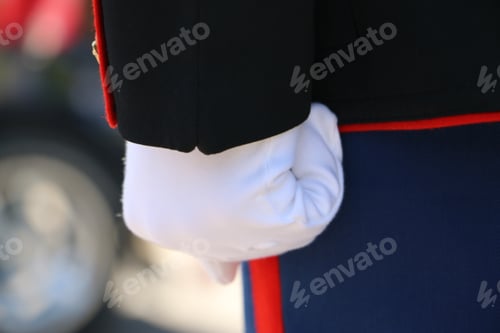 Preview: Detail of Person in Uniform with White Glove