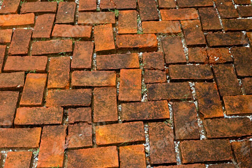 Preview: Garden brick walk way. Outdoor pavement