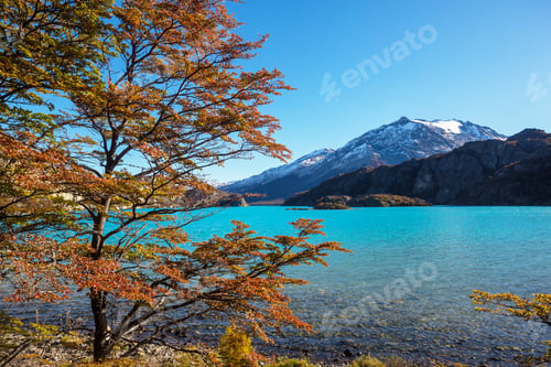 Preview: Autumn in Patagonia