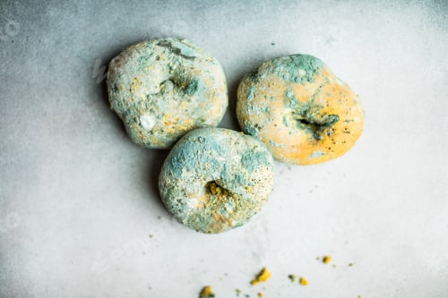 Preview: moldy bagel bread. spoiled bakery products.