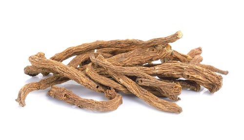 Preview: angelica root on white background