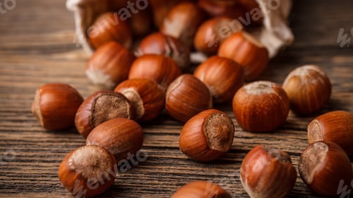 Preview: Organic Brown Hazelnuts. Delicious Healthy Nuts, Concept for Design. Autumn Harvest Snack