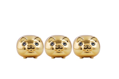 Preview: Pig