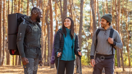 Preview: Happy hikers talking while going by forest