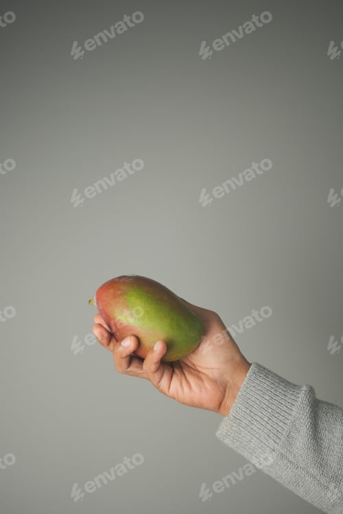 Preview: Hand holding a fresh mango against a gray background