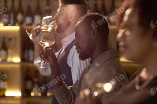 Preview: Man Estimating Wine Color