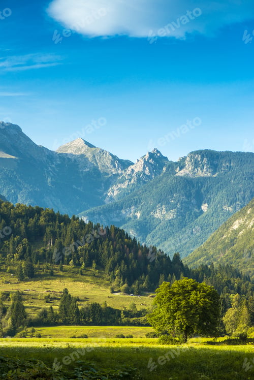 Preview: Amazing Julian Alps landscape in summer