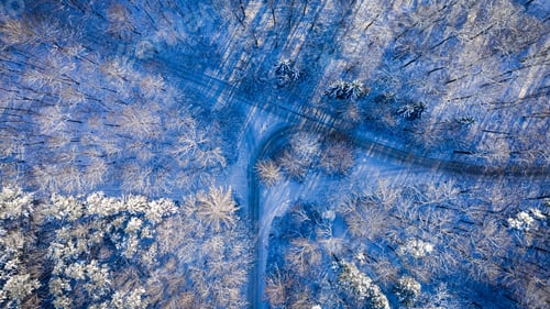 Preview: Country road through forest in winter, Poland.