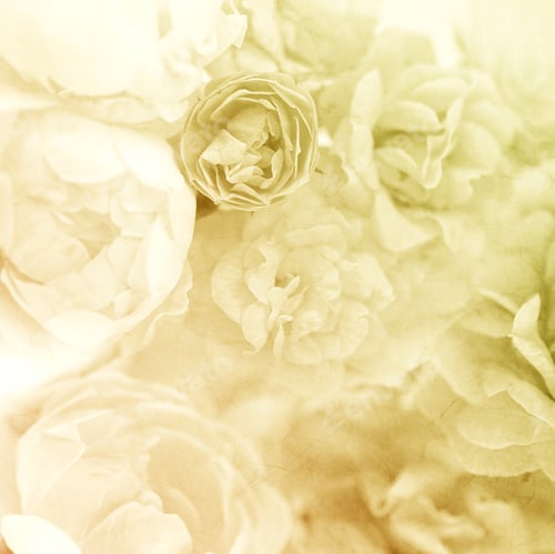 Preview: Sweet Color Roses On Mulberry Paper Texture For Background