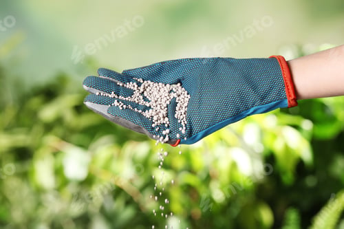 Preview: Woman in glove pouring fertilizer on blurred background, closeup. Gardening time