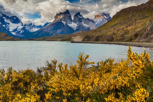 Preview: Beautiful flowers on the shore of the mountain lake. National Pa