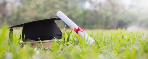 Preview: Certificate paper and black cap on green grass spring time in the outdoor park