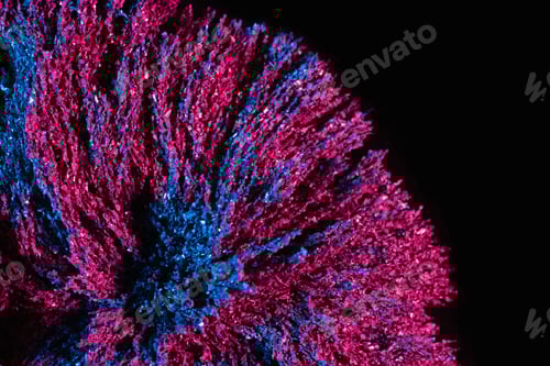 Preview: Ferrofluid illuminated with neon light