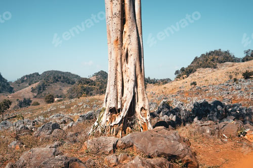 Preview: Rocks and farmland are dry during the hot summer days.