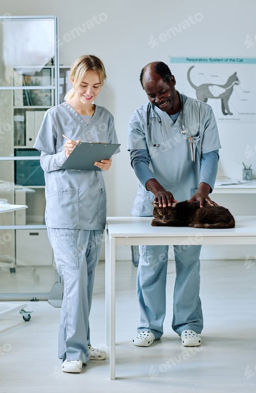 Preview: Vet working together with nurse at clinic