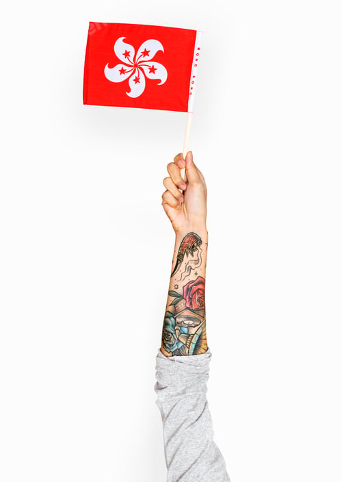 Preview: Hand holding variation of object