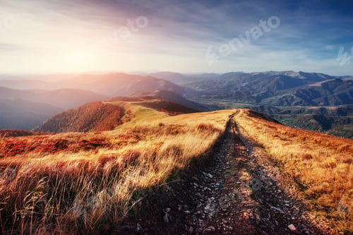 Preview: autumn alley. Beauty world. Carpathians. Ukraine, Europe
