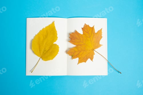 Preview: Top view of blank paper book with dry autumn maple leafs on the pages.