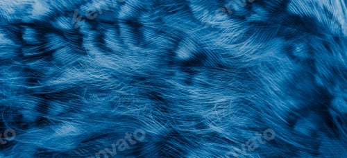 Preview: blue feathers of the owl with visible details