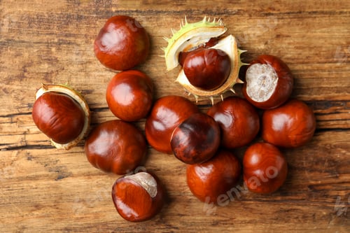 Preview: Many horse chestnuts on wooden table, flat lay