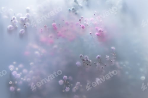 Preview: Soft pastel flowers in dreamy blur with gentle light