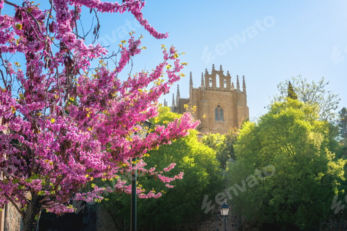 Preview: Monastery of San Juan de los Reyes - Toledo, Spain