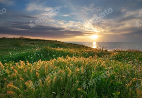 Preview: Sky, sea, and green grass.