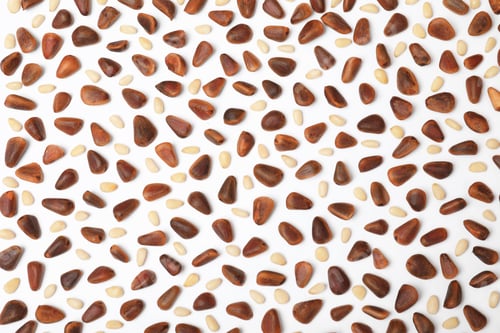 Preview: Flat lay composition with pine nuts on white background