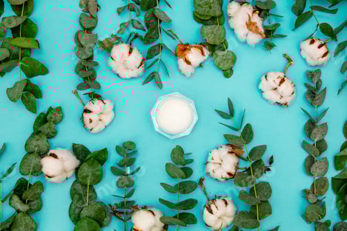 Preview: Cotton and Eucalyptus with health case cream