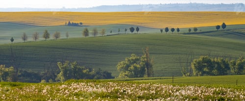 Preview: Gorgeous rural landscape with green sunny spring hills. South Moravia region, Czech Republic