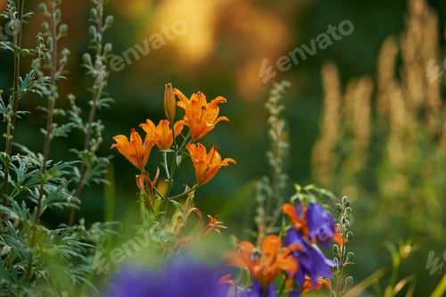 Preview: Colours of spring