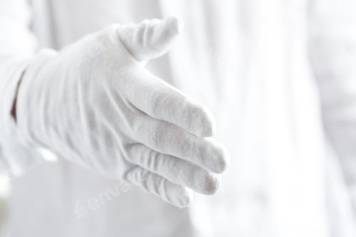 Preview: Gloved Hand Offers a Crisp White Background