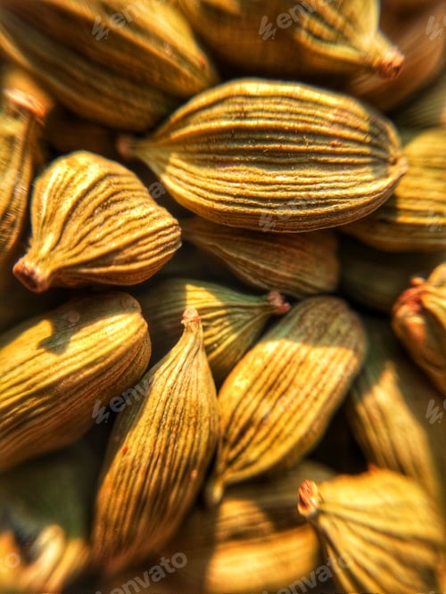 Preview: Green Cardamom.