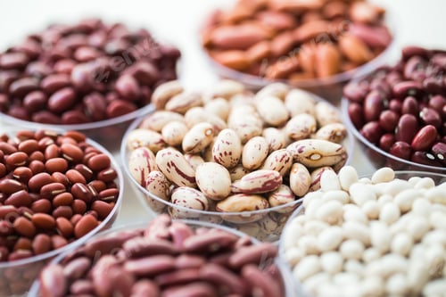 Preview: collection set of beans, legumes on bowl on white background