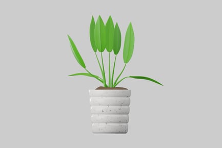 Preview: Potted plant with green leaves