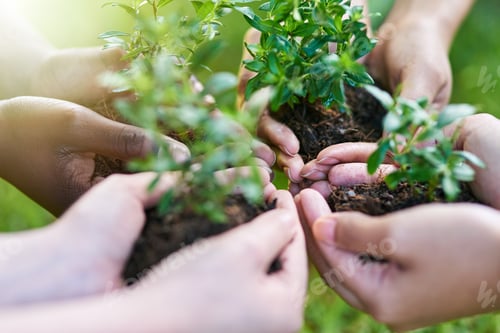 Preview: New beginnings