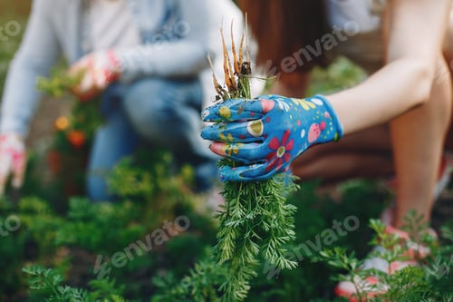 Preview: Beautiful women works in a garden near the house