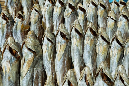 Preview: Dried fishes in a market stall of Tai O village