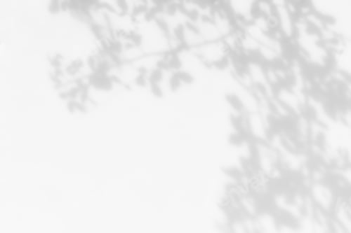 Preview: Shadow of leaves tree plant overlay on white wall. Sunlight effect shadow on the wall.
