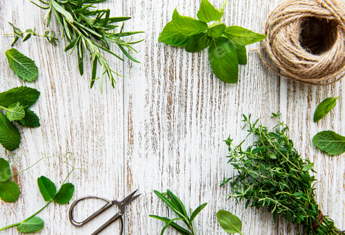Preview: Bunch of aromatic herbs