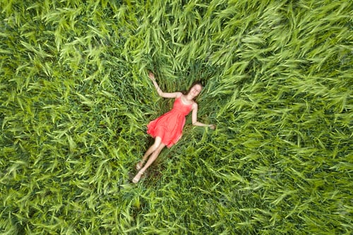 Preview: View from above of young attractive slim woman in red dress laying with closed eyes in green wheat