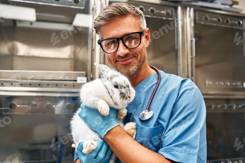 Preview: Animals for examination and treatment in the veterinary clinic