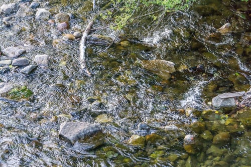 Preview: A Close-Up Shot Of The Cedar River In Maple Valley, Washington.