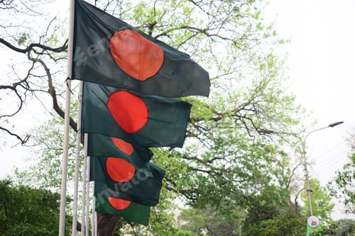 Preview: Beautiful waving flag of Bangladesh